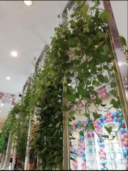 点击看大图 -卡尔诗·科技美肤连锁