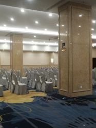 -天邑国际酒店·宴会厅