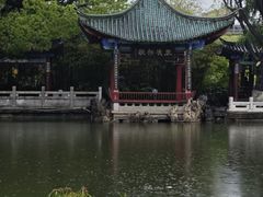 -MAP CHA普洱茶馆(翠湖店)