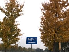 -汉景帝阳陵博物院