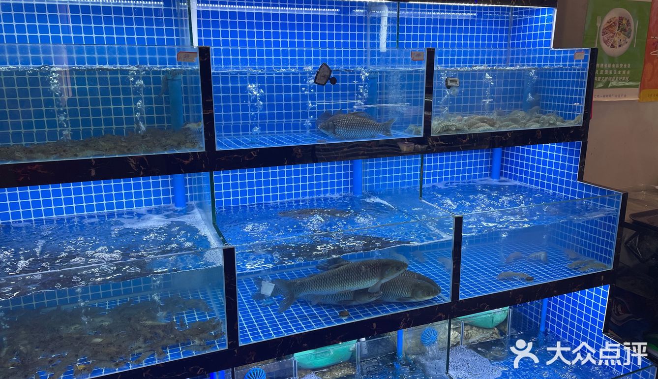 黄岩夜不休的秘密都藏在洞天路这家店里