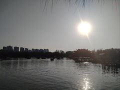 -洛阳市隋唐城遗址植物园