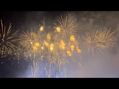 -花博汇(知音花月夜)