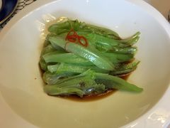 唐生菜-西郊壹号