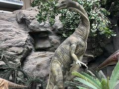 -国家自然博物馆