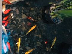 -上海外滩英迪格酒店