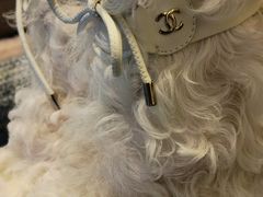 -CHANEL(ifs国际金融店)