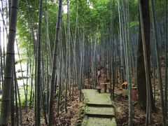 -祁门牯牛降观音堂风景区