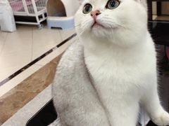 -极木²邸 人与宠物·互动社区