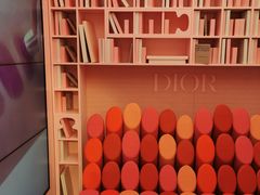 -Dior迪奥(上海世茂广场店)