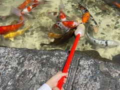-苏州海洋馆