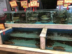 -盆满钵满·国家非遗传承(云台店)
