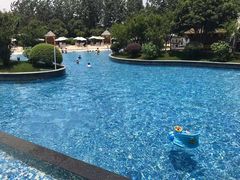 -上海东方佘山翰悦阁酒店·Vie全日制餐厅