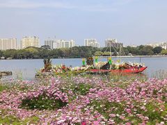 -海珠湖公园