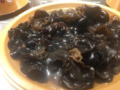 木耳-龍歌自助小火锅(城阳万象汇店)