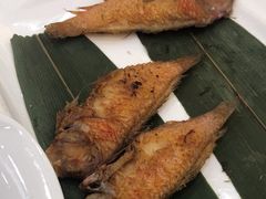 -金华安大酒楼·老牌潮菜·粤式茶点(东方国际店)