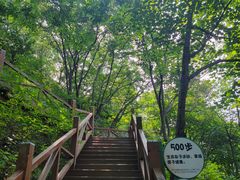 -大岭沟猕猴桃谷风景区