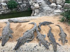 -石家庄市动物园