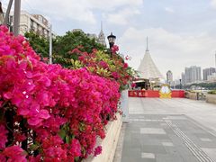 -珠江夜游西堤码头