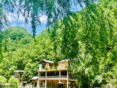 -牛背梁国家森林公园