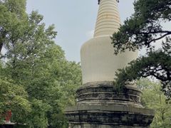 -大觉寺-停车场