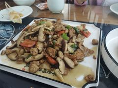 香菇炒肉-白家寨子·山野白族菜(古城总店)