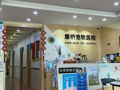 -千城康桥宠物医院·猫科·骨科·心脏