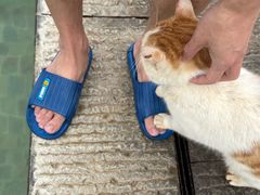 -崇阳三特浪口温泉