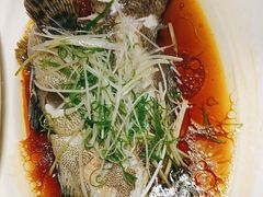 -顺轩海鲜火锅酒家