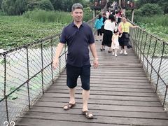 -荷塘月色湿地公园·向阳花洲