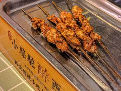 -福苗小骆驼烧烤(莲湖路店)