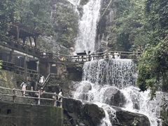 -鼎湖山风景区
