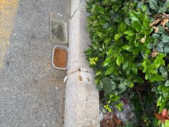 -青岛市图书馆