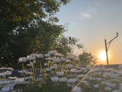 -苦尽酒馆·川菜(鼓楼店)