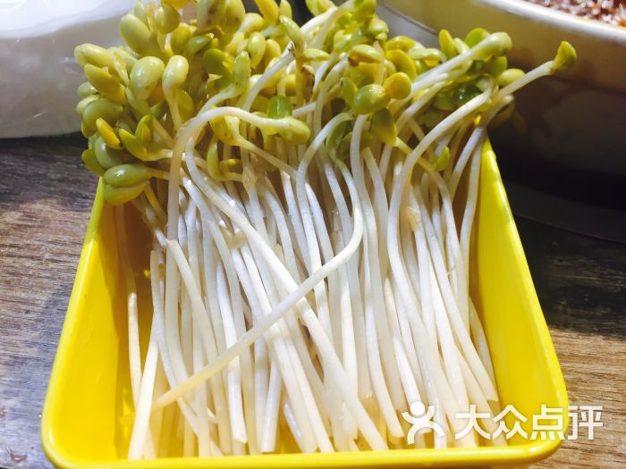 刘胖娃砂锅串串豆芽图片 - 第8张