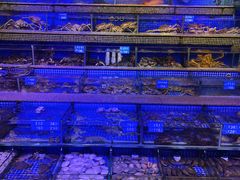 -青蓬蒸汽海鲜·深圳老字号·团建聚会(壹方城店)