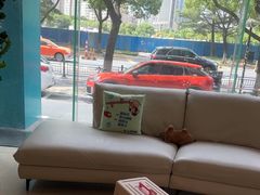 -瑞派申生动物医院·24H夜诊·国际动物医疗中心·骨外科(吴中路店)