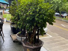 -春娟茶楼·地道农家菜(梅家坞店)