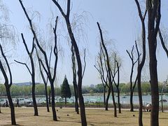 -森林公园(尖草坪区)