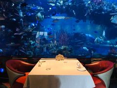 -迪拜帆船酒店海底餐厅