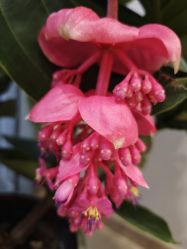 -酉嘉瑜伽YO+YOGA