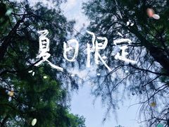 -上海共青森林公园