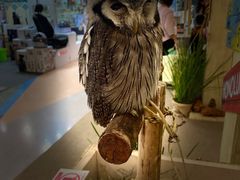 -尚泰清迈机场购物中心