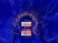 -正佳自然科学博物馆