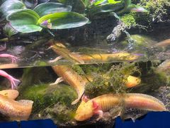 -多彩贵州城极地海洋世界