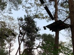 -芦仙山景区-飞越丛林探险乐园