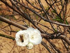 -南国桃园旅游度假区