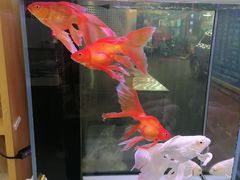 -人和啤酒屋海鲜大排档(营口路店)