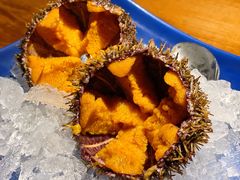 马粪活海胆-樂涧·蓝鰭金枪鱼料理(生态园店)
