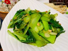 油渣上海青-韵秋荷(宝山龙湖天街店)